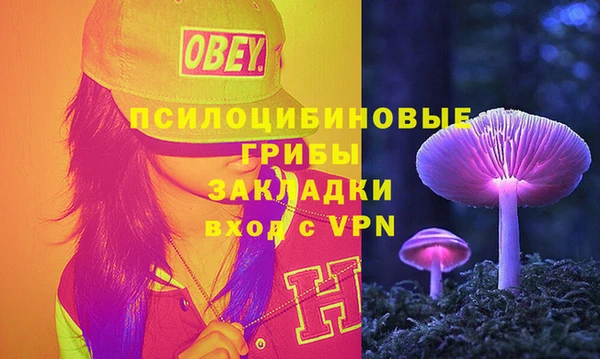 бошки Алексеевка