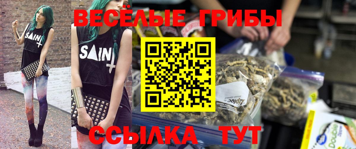 Галлюциногенные грибы ЛСД  Вход с VPN  Тавда 
