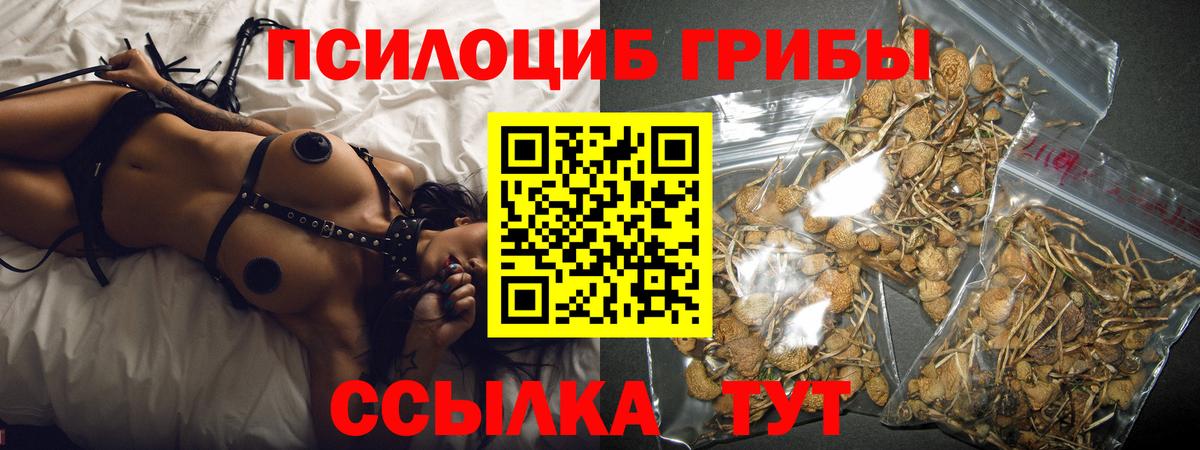 Галлюциногенные грибы мицелий Тавда